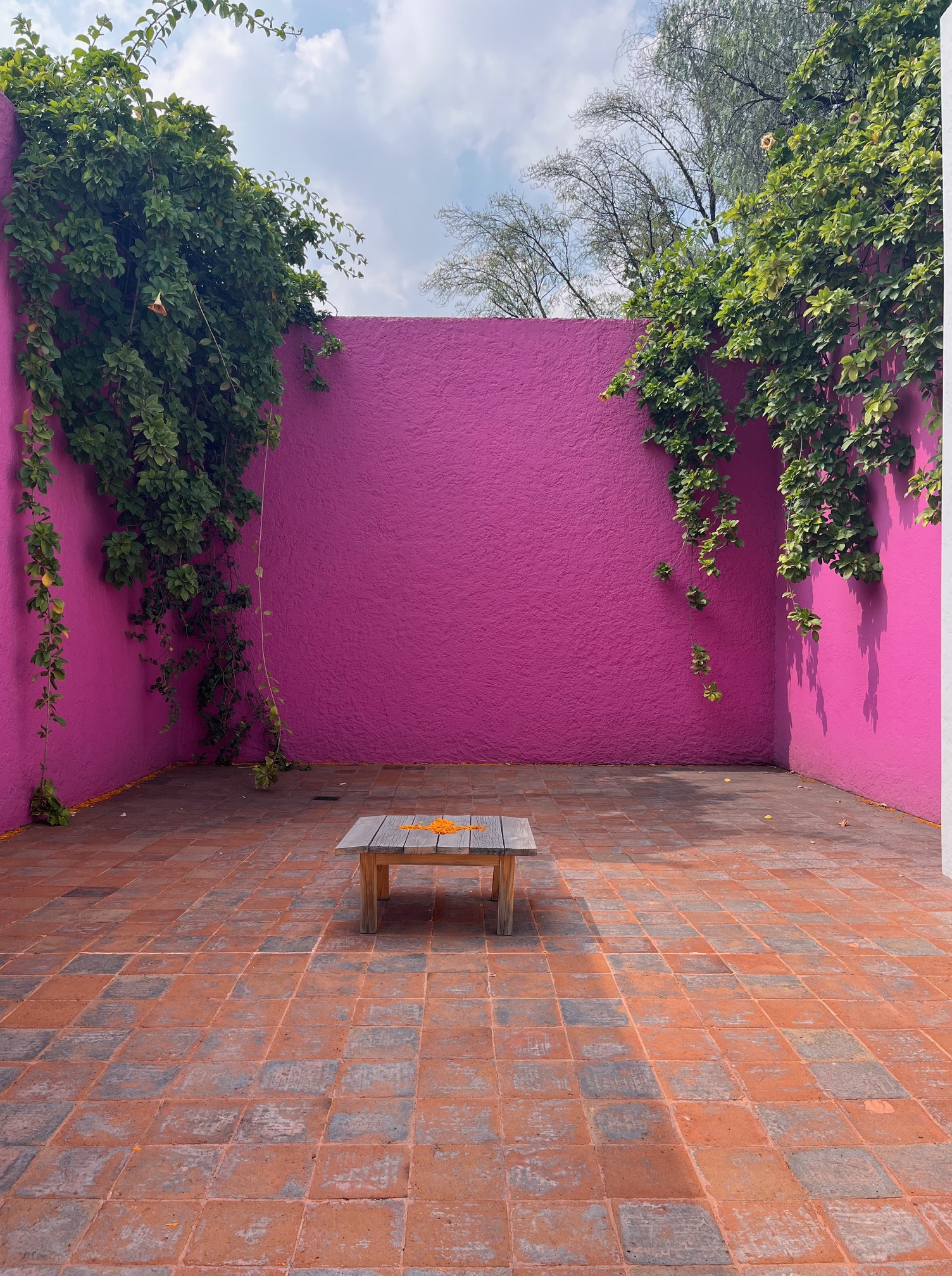 Sushant Malhotra Background Image